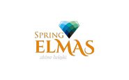 Spring ELMAS